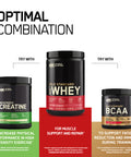 Optimum Nutrition Gold Standard 100% Whey Muscle Building And Recovery Protein Powder With Naturally Occurring Glutamine And Bcaa Amino Acids Delicious Strawberry Flavour 10 Servings 300G
