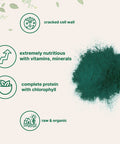 Micro Ingredients Organic Chlorella Powder, 16 Ounce (1lb), Broken Cell Wall, Rich in Vegan Proteins & Vitamins, Raw, Bulk Premium Chlorella Supplement, Vegan Friendly, Non-Irradiation
