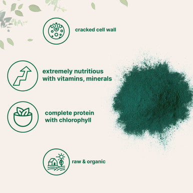 Micro Ingredients Organic Chlorella Powder, 16 Ounce (1lb), Broken Cell Wall, Rich in Vegan Proteins & Vitamins, Raw, Bulk Premium Chlorella Supplement, Vegan Friendly, Non-Irradiation