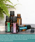 Natures Fusions Natures Shield 100% Pure & Essential Oil Blend 5 Fl Oz