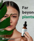 Codeage Chlorophyll Liquid Drops Supplement - Vegan Chlorophyll 50 mg per Serving Liquid Chlorophyll Water Organic Peppermint Flavor Clorofila Drink - Non-GMO Gluten- Vegan - 2 fl oz