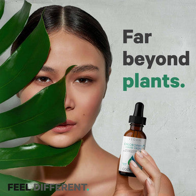 Codeage Chlorophyll Liquid Drops Supplement - Vegan Chlorophyll 50 mg per Serving Liquid Chlorophyll Water Organic Peppermint Flavor Clorofila Drink - Non-GMO Gluten- Vegan - 2 fl oz
