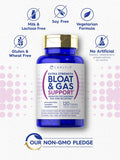 Carlyle Bloat & Gas Support for Men & Women | 120 Tablets | Extra Strength Pills | Supplement with Enzymes Turmeric Ginger & More | Non-GMO & Vegetarian Formula