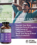 Lions Mane Mushroom Supplement Beef Brain Powerful Nootropics Brain Support Supplement Brain Supplements for Memory and Focus 180 Capsules by Optimal Carnivore
