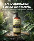 PURA D'OR Advanced Therapy Shampoo Reduces Hair Thinning & Increases Volume, No SLS, Biotin Shampoo Infused w/Argan Oil, Aloe Vera for All Hair Types, Men & Women, Invigorating Forest Scent 16 Fl Oz