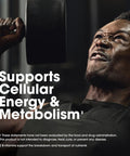Optimum Nutrition Opti-Men Daily Multivitamin For Men Immune Support Supplement With Amino Acids 80 Day Supply 240 Count (Packaging May Vary)