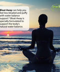 Irwin Naturals Bloat-Away - Water Balance Support - Replenish Electrolytes & Essential Minerals - 60 Liquid Soft-Gels