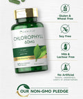 Carlyle Chlorophyll Pills | 90 Capsules | Naturally Occurring Pigment | Chlorophyll Concentrate Supplement | Non-GMO Gluten Complex