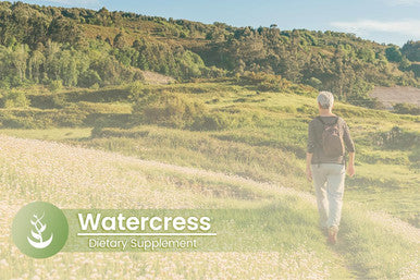 PURE ORIGINAL INGREDIENTS Watercress, (100 Capsules) Always Pure, No Additives Or Fillers, Lab Verified