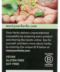 Gaia Herbs Ginkgo Leaf - Traditionally Used to Support Healthy Circulation and Brain Function - Organic, Herbal Supplement - 60 Vegan Liquid Phyto-Capsules (20-Day Supply)