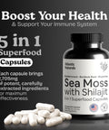 Atlantic Naturals Sea Moss Capsules with Moringa Ashwagandha Black Seed Oil Ginger and Ginseng Atlantic Sea Moss Supplements for Men and Women for Daily Energy and Wellness Blend 120 Count