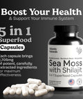 Atlantic Naturals Sea Moss Capsules With Moringa Ashwagandha Black Seed Oil Ginger & Ginseng â€“ Atlantic Sea Moss Supplements For Men And Women â€“ For Daily Energy & Wellness Blend â€“ 120 Count