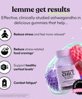 Lemme Chill Stress Relief Gummies With 300Mg Ksm-66 Ashwagandha Lemon Balm Passionflower & Goji To Support Relaxation Healthy Cortisol & Sleep - Gluten-Free Non-Gmo Mixed Berry (60 Count)