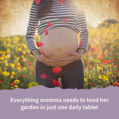 Garden of Life Organics Prenatal Vitamins - 90 Tablets