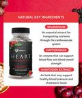 Karamd Heart Guard | Natural Heart Support Supplement | Hawthorn Berry, Magnesium, Nattokinase & Grapeseed Extract | Support Cellular Processes | Non-Gmo, Gluten Free & Vegan Friendly (30 Servings)