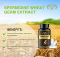 1000Mg Spermidine Supplements Fermented Wheat Germ Extract Capsule With 10Mg Higher Spermidine & Zinc For Antioxidant, Cell Renewal, Immune System And Increases Energy 60 Capsules (1 Bottle)