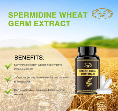 1000Mg Spermidine Supplements Fermented Wheat Germ Extract Capsule With 10Mg Higher Spermidine & Zinc For Antioxidant, Cell Renewal, Immune System And Increases Energy 60 Capsules (1 Bottle)