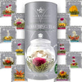 Teabloom Flowering Tea - 12 Unique Varieties of Blooming Tea Flowers - Hand-Tied Green Tea Leaves & Edible Flowers - 12-Pack Canister