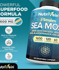 Nutrivein Organic Sea Moss 1600Mg Plus Bladderwrack & Burdock - 120 Capsules - Prebiotic Super Food Boosts The Immune System & Digestive Health - Thyroid, Healthy Skin, Keto Detox, Gut, Joint Support