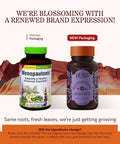 Herbs Etc. Menopautonic Softgels - Essential Supplement For Women - Hormonal Transition Support Supplement - Menopausal Support With Dong Quai & Motherwort - 120 Softgels (120 Servings)