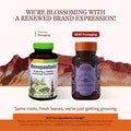 Herbs Etc. Menopautonic Softgels - Essential Supplement For Women - Hormonal Transition Support Supplement - Menopausal Support With Dong Quai & Motherwort - 120 Softgels (120 Servings)