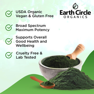 Earth Circle Organics Organic Chlorella Powder Superfood | Kosher | Broken Cell Wall ChlorophylI Vegan Super Green Algae Clean Chlorella High in Protein Fiber & Amino Acids - 4oz
