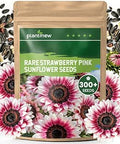300+ Sunflower Seeds for Planting ÃƒÆ’Ã†â€™Ãƒâ€šÃ‚Â¢ÃƒÆ’Ã‚Â¢ÃƒÂ¢Ã¢â€šÂ¬Ã…Â¡Ãƒâ€šÃ‚Â¬ÃƒÆ’Ã‚Â¢ÃƒÂ¢Ã¢â‚¬Å¡Ã‚Â¬Ãƒâ€¦Ã¢â‚¬Å“ Rare Strawberry Pink Sunflower Seeds Ornamental Blooms, Open Pollinated, Easy to Grow Flower Seeds for Garden, Outdoor Planting & Landscaping 0.35 Oz