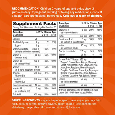 Nature's Way Alive! Children's Premium Gummy Multivitamin, Gluten Free, Made with Pectin, 90 Gummies