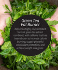 Applied Nutrition Green Tea Fat Burner - 30 Liquid Soft-Gels Pack Of 3 - Increases Calorie Burning & Supplies Powerful Antioxidants 45 Total Servings