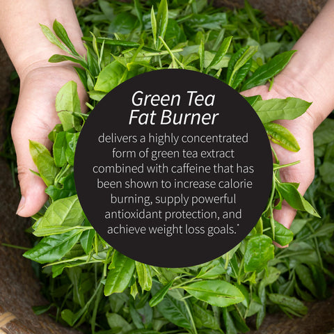 Applied Nutrition Green Tea Fat Burner - 30 Liquid Soft-Gels Pack Of 3 - Increases Calorie Burning & Supplies Powerful Antioxidants 45 Total Servings