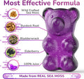 Sea Moss Elderberry Gummies With Magnesium, Burdock Root And Bladderwrack - Immune Support For Kids And Adults 60Pcs - Bag Pack Of 1