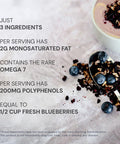 Blueprint Bryan Johnson Blueberry Nut Mix Real Blueberries Roasted Macadamia Nuts and Walnuts No Additives or Added Sugars Keto and Paleo Friendly 170mg Polyphenols 30 Servings