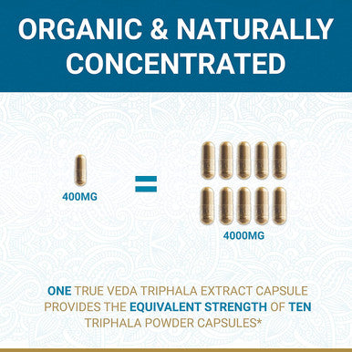 Triphala Capsules USDA Organic Vegan Triphala Tablets 100 Natural Herbal Triphala Guggulu Supplement Natural Fusion Extract Potency Ayurveda 60 Caps Trifala Churna