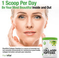 Plantvital Collagen Peptides Powder - Hydrolyzed 100% Grass Fed Collagen Powder Paleo Friendly Unflavored Supports Skin Hair Nails & Joints 400G Dissolving 40 Servings
