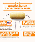 Glucosamine Chondroitin Msm Joint Support Supplement With Glucosamine Sulfate 1000 Mg Plus 15 Nourishing Joint Vitamins - Joint Health Chondroitin Sulfate Msm Supplement For Women And Men - 60 Tablets