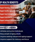 Aumeto NAD+ Supplement with Nicotinamide Riboside NR Resveratrol Quercetin - Cellular Energy & Repair Vitality Healthy Aging (90 Count (Pack of 1))