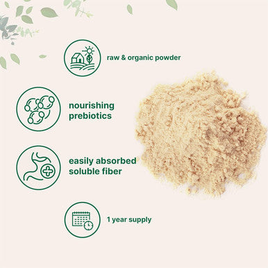 Micro Ingredients Organic Acacia Senegal Powder 2 Pounds (32 Ounce) Instant Soluble Fiber Powder Plant-Based Prebiotic Superfood for Gut Health Non-GMO No Gluten Vegan