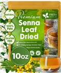 FreshDrinkUS, Premium 50 Mulberry Leaf Tea Bags, 100% Natural & Pure from Mulberry Leaves. Herbal Tea. Made with Natural Material Tea Bags. No Sugar, No Caffeine, No Gluten, Vegan.