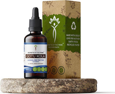 Secrets of the Tribe Gotu Kola Tincture Alcohol-Free Liquid Extract, Gotu Kola (Centella Asiatica) Dried Herb (4 Fl Oz)