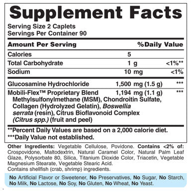 Puritan's Pride Glucosamine Chondroitin & MSM-2 Per Day Formula
