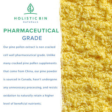 Organic Pine Pollen Powder by Holistic Bin | Pharmaceutical Grade, Wild Harvested, Golden Canadian Pine Pollen | Non GMO, No Additives | Pure Pollen Supplement Made from The Ponderosa Pine Tree, 20 g