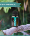 Nature s Fusions Lemon Eucalyptus 100% Pure and Essential Oils 15 mL
