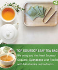 FreshDrinkUS, Premium 50 Mulberry Leaf Tea Bags, 100% Natural & Pure from Mulberry Leaves. Herbal Tea. Made with Natural Material Tea Bags. No Sugar, No Caffeine, No Gluten, Vegan.