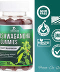 Ashwagandha Gummies - Relax, Calm, Unwind with Potent Mood & Stress Support Vitamins - Vegan Friendly, Non-GMO, Plant-Pectin Based - Delicious Raspberry Flavor Chews for Women & Men - 60 Gummies