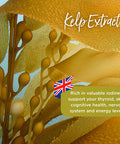 Healthspan Kelp Extract | 360 Tablets | Rich Source of Iodine | Fucus Vesiculosus Seaweed | Vegan
