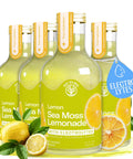 Mango Pink Pepper Sea Moss Electrolyte Lemonade Ã¢â‚¬â€œ Exotic Spiced Hydration Drink Ã¢â‚¬â€œ No Added Sugar with Sea Moss & Electrolytes Ã¢â‚¬â€œ 4 x 12 fl oz Bottles Ã¢â‚¬â€œ Made in USA
