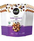 Elan Organic Sweet & Salty Mix, 5.3 oz, Non-GMO, Gluten-Free, Vegan, Kosher, Vegan Dark Chocolate, Dried Fruits (Raisins, Dates), Nuts (Roasted Cashews, Roasted Almonds) & Pumpkin Seeds