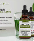 Liquid Chlorophyll Drops Boost Energy, Strengthen Immune System, Detox and Cleanse The Body. Chlorophyll Drops for Water Works as a Natural Deodorant. 120 Servings.