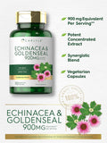 Carlyle Echinacea Goldenseal Capsules | 110 Count | Vegetarian Non-GMO Gluten