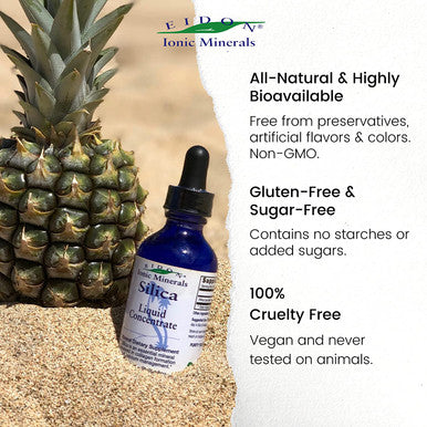 Eidon Liquid Silica Mineral Concentrate Silica Supplement for Hair Collagen Production Vegan Gluten Natural Bioavailable Ionic No Preservatives Silica Drops 2 Oz Bottle